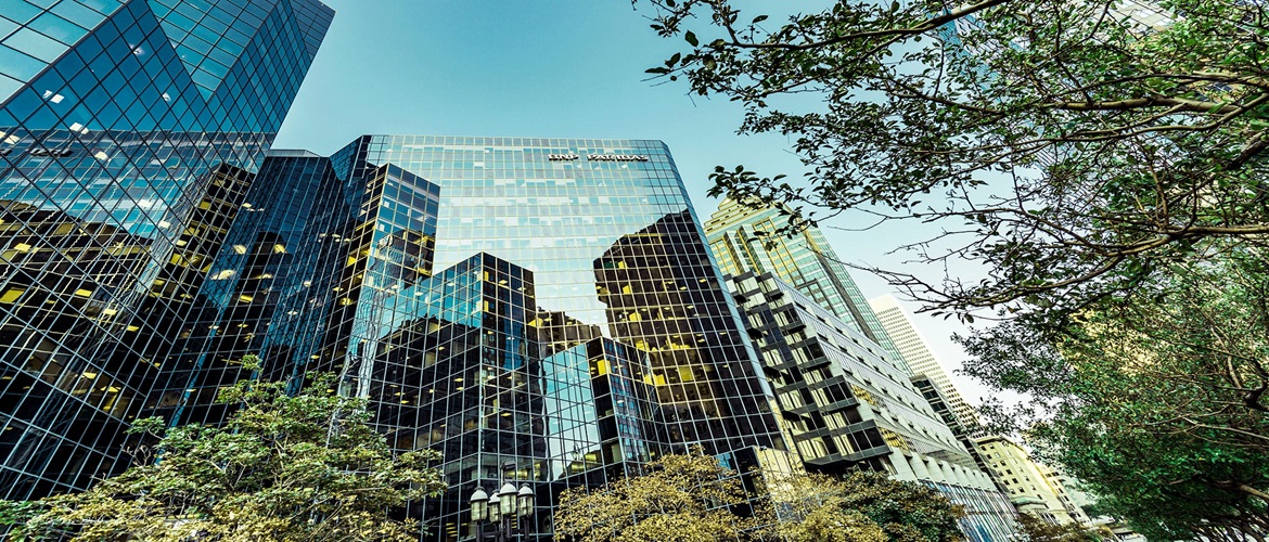 Glass windows of a skyscraper showing reflections of other buildings, viewed through trees from the ground